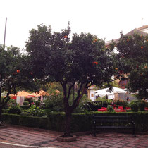 La Plaza de los Naranjos, Marbella
