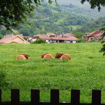 Panes, Asturia - grüne Landschaft des Nordens