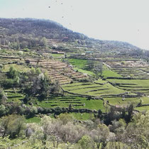 hängende Gärten im Tal El Valle del Jerte