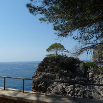 Vistas al Mar, Mallorca