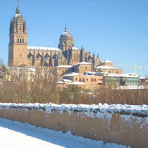 Die Kathedrale von Salamanca im Winter
