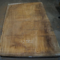 Parota Tischplatte, riesige Baumscheiben Breiten bis zu 2m.