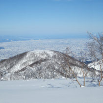 富山・砺波の散居村が広がる