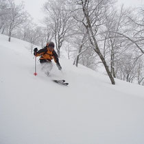 いい雪いっぱいです。