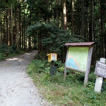 ここが権現山への登山口
