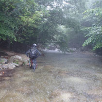 入渓地点に着いたとき雨が強くなってきた