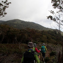 権現山からホッケ山