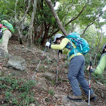 権現山までは急な登りが続きます
