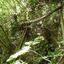 崩れた崖を登ります