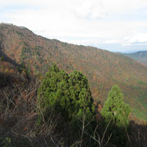 百里新道からの百里ケ岳の紅葉