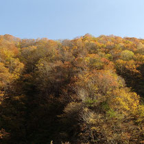 駐車場から国道までの山々の紅葉がきれいでした