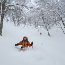 ニシマタ谷滑降。腰までの雪も飛んでいく。Ｍさん