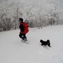 山頂で元気な子犬に出会った