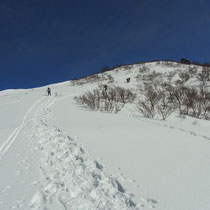 山スキーヤーとスノーシューのトレースです。その左、私のシュプールです。
