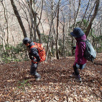 落ち葉の絨毯を踏んで下山