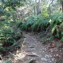 少し山道を通って