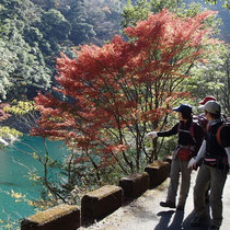 紅葉と美しい水が何とも印象的