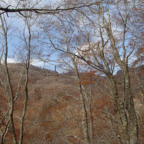 登山道からの景観はこんな感じで