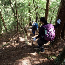 巨木群生地帯が終わり、さらに尾根を下ります