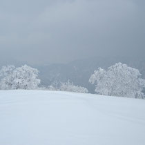 樹氷の向こうには大野盆地が。