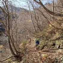晩秋の山道を歩き