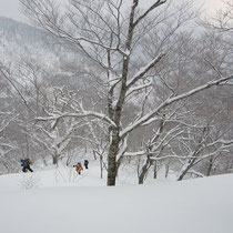 新雪のラッセルもこの時期ならではで楽しいものです。
