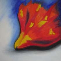 Feuervogel, Öl auf Leinwand, 60 x 80 cm
