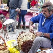 Cestini (foto L. Boccia)