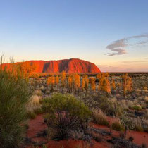 Uluru - Ayers Rock am Morgen