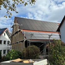 Holz- und Dachsanierung