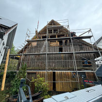 Holz- und Dachsanierung