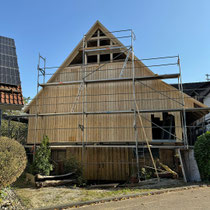 Holz- und Dachsanierung