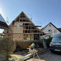 Holz- und Dachsanierung