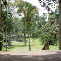 Der Grosste Garten Der Welt Fur Orchideen In Singapur