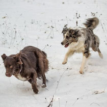 Whisper und Bliss