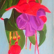 FUSCHIA