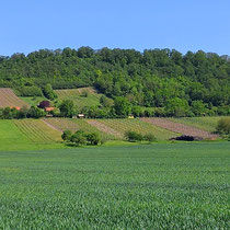Foto © Andrea Schön-Staudinger