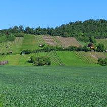 Foto © Andrea Schön-Staudinger