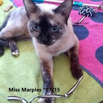 Miss Marples