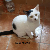 Neko
