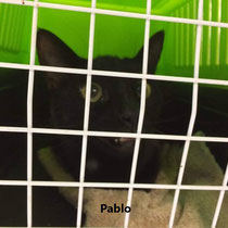 Pablo