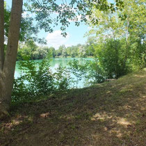 Photos de l'étang