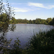 Photos de l'étang