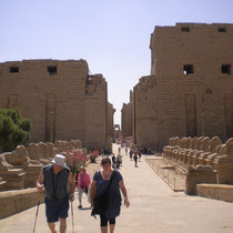 Die Sphinx Allee in Widdergestalt bis zum Eingang des Tempels des Gottes Amon