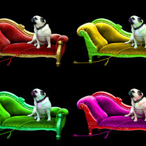 Mops