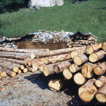 Gemeinde-Holz in der Wart