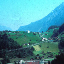 Ansicht von der Strasse ins Niederental