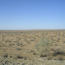 Entre Boukhara et Khiva - Désertification