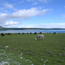 Balade à pied le long du lac