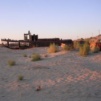 Moynaq - Squelettes .....la mer d'Aral était bien là !